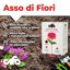 CIFO Asso di Fiori Concime Universale in Polvere 1kg - Fertilizzante per Piante Verdi, Grasse, Fiori e Orto - Previene Carenze Nutritive e Favorisce la Crescita - Made in Italy 2