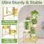 iDavosic.ly 5-Tier Corner Plant Stand, Metal Indoor Outdoor Flower Display Shelf, Folding Tall Orchid Rack for Patio Balcony and Garden, Gold 4
