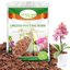 Legigo 4 Quarts Organic Orchid Potting Bark - All Natural Pine Bark Wood Chips for Houseplant Mulch and Root Development 1