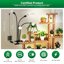 SANSI LED Grow Lights for Indoor Plants, 600W Equivalent Full Spectrum Gooseneck Clamp Lamp, 40W High PPFD Plant Light with 4 Replaceable Heads 6
