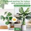 HiGift 12 Pack Adjustable Plant Support Stakes - Heavy-Duty Half Round Peony Cages for Garden & Outdoor Plants - 32 Inch Tall Metal Support with Extension Tubes 5