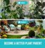 GROWIT Soil Moisture Meter for Plants - Analog Soil Water Monitor & Hydrometer for Houseplants, Indoor and Outdoor Gardening - No Batteries Required 8