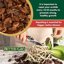 Better-Gro Orchid Bark Premium Grade Potting Medium, 4 Quarts (Pack of 2) 5