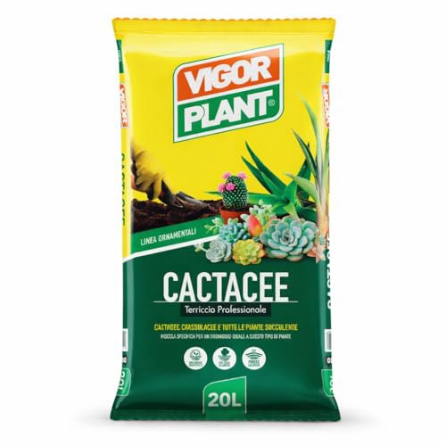 Vigorplant Terriccio per Cactacee e Piante Grasse 20L