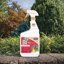 Bonide Captain Jack's Thuricide BT - Organic Caterpillar & Worm Control 32 oz Ready-to-Use Spray 6