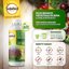 Solabiol Olio Bianco di Soia Concentrato - Biologico - Difesa Piante contro Afidi e Cocciniglia - 2 x 1 LT 3