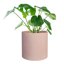 FaithLand Fiberstone Planter Cylinder Plant Pot with Drainage Hole & Plug, Indoor Outdoor Use, Terracotta Color 12" 8