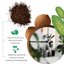 GebEarth Fibra di Cocco 100% Naturale Lavata e Tamponata - Substrato Universale per Piante e Idroponica - 3L 2