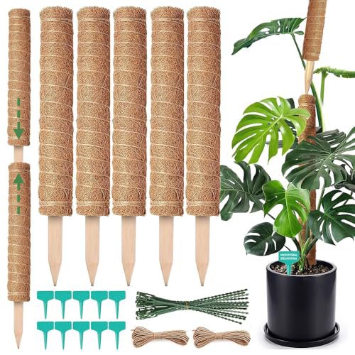 Kit 5 Aste Cocco