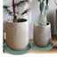 Bleuhome 2 Pack 14 Inch Plant Saucers - Heavy Duty Plastic Drip Trays & Bird Bath Bowls 4
