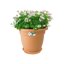 Elho Green Basics Saucer 34 Sottovaso per Interno ed Esterno - Marrone Mild Terra 3