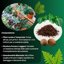 GebEarth Fibra di Cocco 100% Naturale Lavata e Tamponata - Substrato Universale per Piante e Idroponica - 5L 4