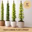 Craft911 64 Inch Bendable Moss Pole for Monstera and Climbing Plants - Coco Coir Plant Support Stake 4