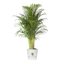 Elho Greenville Round 40 Vaso con serbatoio idrico integrato per Interno/esterno, Plastica Riciclata Ø 39.0 x H 36.8 cm - Bianco/White 9