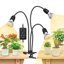 SANSI Lampada LED per Piante da Interno 30W Spettro Completo con 3 Clip a Collo di Cigno e Timer 1