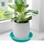 Bleuhome 2 Pack 12 Inch Plastic Plant Saucer Trays and Bird Bath Bowls - Heavy Duty Round Drip Trays for Indoor and Outdoor Flower Pots, Teal 4