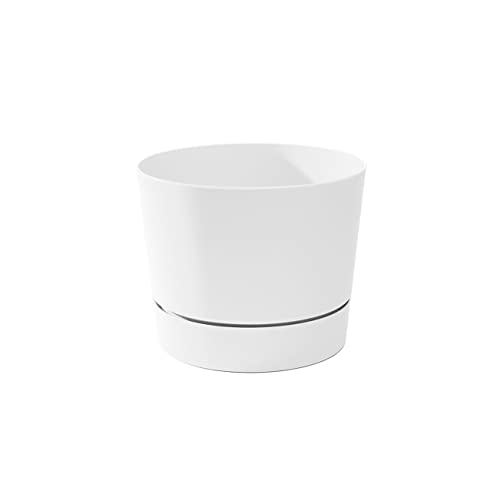 Root & Vessel Majestic Low Profile White 8.5"