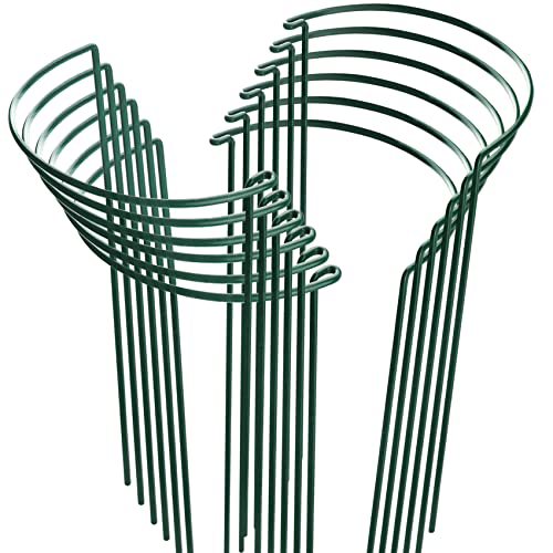 HiGift 12pk Metal Peony Cages (10"x15.8")