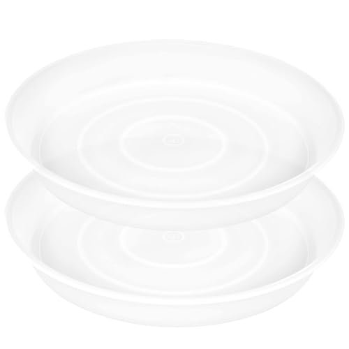 Bleuhome 12" Plant Saucer 2-Pack Clear