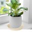 Bleuhome 6 Pack 12 Inch Plant Saucer - Heavy Duty Plastic Round Drip Trays for Indoor & Outdoor Flower Pots and Bird Bath Bowls 4