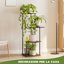 Bamworld Scaffale Porta Piante 4 Ripiani in Metallo e Legno - Supporto Verticale per Interno ed Esterno, Balcone e Giardino (45x30x80cm) 7