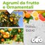 CIFO Concime Agrumi 600g - Fertilizzante Completo NPK per Limoni, Aranci, Mandarini e Pompelmo - Favorisce Fioritura e Frutti Sani - Made in Italy 5