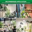 SANSI 36W LED Lampadina per Piante da Interno E27 Spettro Completo 4000K Luce Diurna Grow Light per Ortaggi e Fiori 6