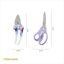 Fiskars 2-Piece Pruning & Veggie Shears Set - Explore Collection Garden Tool Kit with Stainless Steel Blades 6