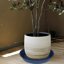 Bleuhome 4 Pack 14 Inch Plastic Plant Saucers and Bird Bath Bowls - Round Heavy Duty Drainage Trays for Indoor & Outdoor Flower Pots 4