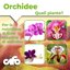 CIFO Concime Liquido per Orchidee 200ml - Fertilizzante NPK con Azoto, Fosforo e Potassio - Stimola Radici e Fioritura Abbondante - Formula Professionale Made in Italy 3