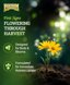 FoxFarm Tiger Bloom Liquid Plant Food - High Phosphorus Fertilizer for Flowering, Buds & Blooms - 2-8-4 Nutrient Ratio for Soil and Hydroponics - 1 Quart 2