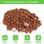 Riare 2 LBS Organic Expanded Clay Pebbles - 4mm-16mm Natural LECA Balls for Hydroponics, Aquaponics, and Indoor Plants 2
