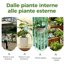 Bamworld Set 10 Pezzi Ampolle per Irrigazione Automatica Piante - Sistema a Goccia per Vasi Interni ed Esterni, Ideale per Vacanze e Giardino 6