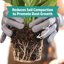 Back to the Roots 100% Organic Perlite 24qt Value Pack - Premium Horticultural Grade for Soil Aeration and Drainage 4