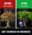 GROWIT Soil Water Monitor for Plants - Analog Soil Moisture Meter & Hydrometer for Houseplants, Indoor and Outdoor Gardening - Purple 6