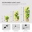 SANSI T10 Standing Full Spectrum Grow Light - 55W Vertical LED Plant Lamp with 5-Level Dimming and Timer 3