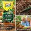Vigorplant Terriccio per Cactacee e Piante Grasse 60L - Substrato Drenante con Pomice, Torba Irlandese e Concime NPK Pronto Effetto 8