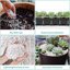 Legigo 2 Quarts Organic Horticultural Perlite - Natural Soil Additive for Drainage, Aeration and Root Growth 5