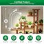 SANSI Lampada per Piante LED 20W Spettro Completo con 2 Teste E27 Regolabili 4