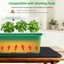 Bonviee 5-Pack Seed Starter Trays Kit with Adjustable Humidity Domes and Plant Labels - Indoor Mini Greenhouse Propagator for Large Seeds 6