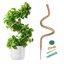 Mcbazel Tuteur en Mousse pour Monstera 150 cm - Treillis Flexible en Fibre de Coco avec Noyau en Aluminium et Accessoires 1