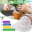 Legigo 8 Quarts Organic Horticultural Perlite - Natural Soil Additive for Drainage, Aeration and Root Growth 3