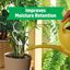 Back to the Roots 100% Organic Vermiculite 24qt Value Pack - Premium Horticultural Grade Soil Amendment 4