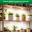 SANSI 20W Full Spectrum LED Puck Grow Lights for Indoor Plants, 4-Head Plant Lamp with Auto On/Off Timer, Ceramic Heat Sink Technology 4