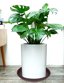 Bleuhome 2 Pack 14 Inch Plant Saucers - Heavy Duty Round Plastic Drip Trays for Indoor & Outdoor Pots and Bird Bath Bowls, Chocolate 6