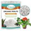 Legigo 2 Quarts Organic Horticultural Perlite - Natural Soil Additive for Drainage, Aeration and Root Growth 1