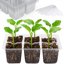 Bonviee 10 Pack Seed Starter Trays with Drainage Holes - Reusable Clear Plastic Seedling Propagation Trays, 6 Cells per Tray 1