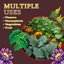 FoxFarm Happy Frog Organic Potting Soil - Premium Ready-to-Use Blend for Containers, Indoor & Outdoor Gardening, 2 Cubic Feet 6