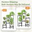 iDavosic.ly 6-Tier Corner Plant Stand with Grow Light, Metal Indoor Outdoor Flower Display Shelf, Folding Tall Wrought Iron Orchid Rack for Patio Balcony Garden and Living Room - Black 3