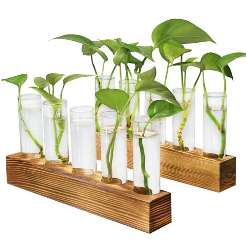 10-Tube Propagation Station
